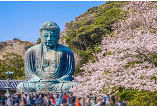 Kamakura 8 cooking classes